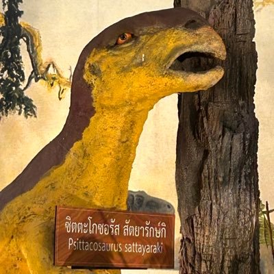 PpangSY333's profile picture. 