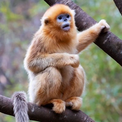 oogaboogapasta's profile picture. she/her 🏳️‍⚧️ | 🇵🇸🇸🇩🇺🇦 | i like jjba