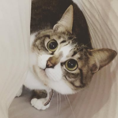 willywnka99's profile picture. 