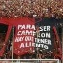 newellssscarajo's profile picture. 