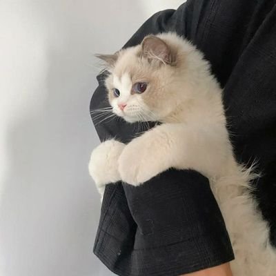 nu_ur_'s profile picture. M.Y