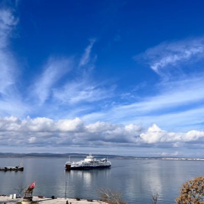 1703NZ's profile picture. 