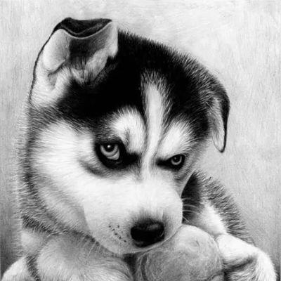 sanli96644's profile picture. 