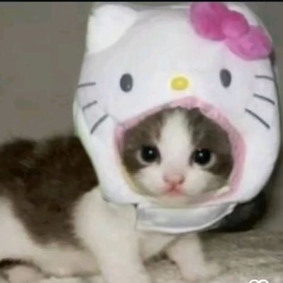 miss_oppressor's profile picture. wanna get reech