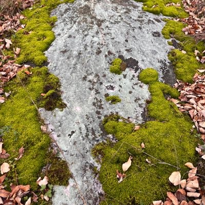 villakoola's profile picture. Home Sweet Home.