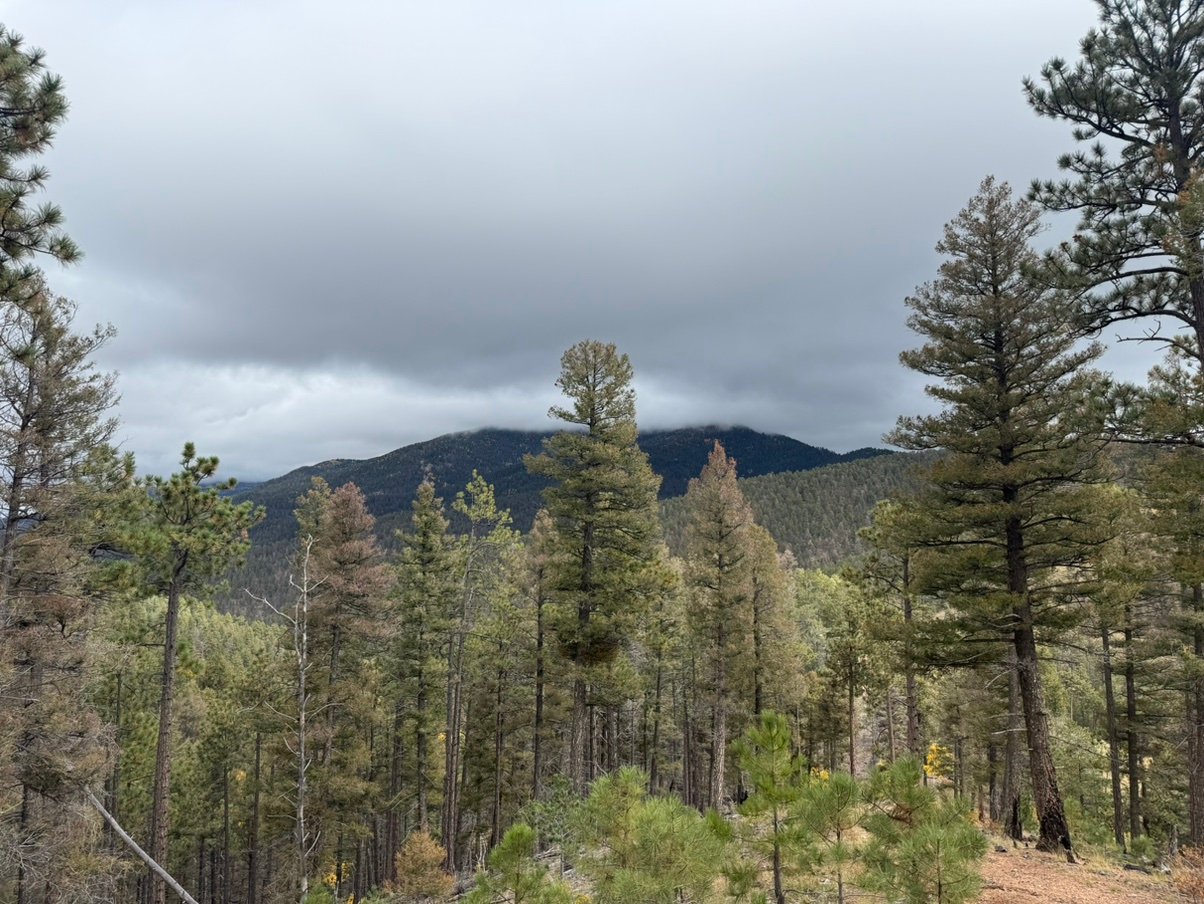 TechGXL's profile picture. 