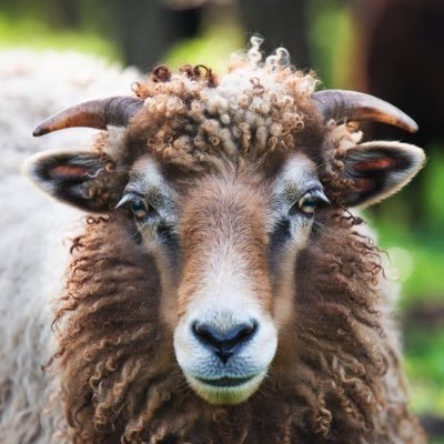 mylifework's profile picture. お元気ですか.🎓文学士.早稲田大学第一文学部🇬🇧1990年入学1995年卒🇫🇷.ドイツ語を随分やりましたが忘れました🍺🍝.阿部寛ブリンケン前国務長官雅子さま紀子さま桐島かれん牧島かれん.叔父が横浜市役所OB.慶應義塾女子高フェリス女学院大学横浜市立大学.駿台予備学校文1α@HonestyHot