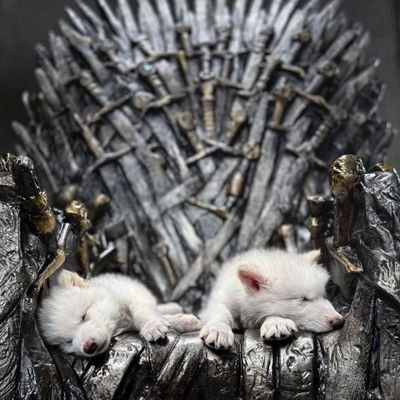 bothiqueen69's profile picture. 