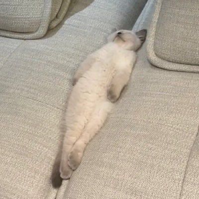 opqrrrrrrrrr's profile picture. 