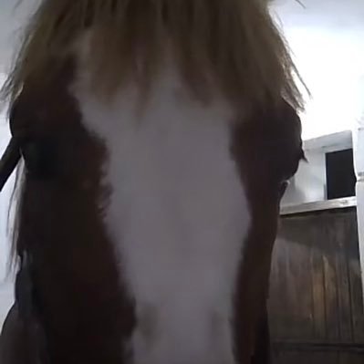 kl0z4p1n's profile picture. dolma kalem tamircisi