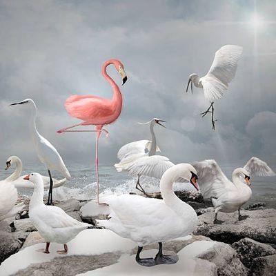 Indianvtm's profile picture. 