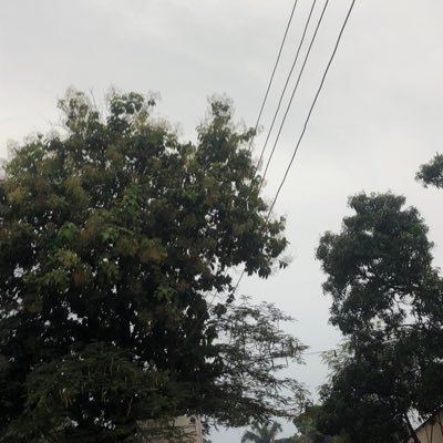 bojangbaa12's profile picture. True Christianity is not just in words, but in action. If God has blessed you, be the blessing someone is praying for ✝️❤️