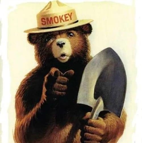 Timsggv's profile picture. 