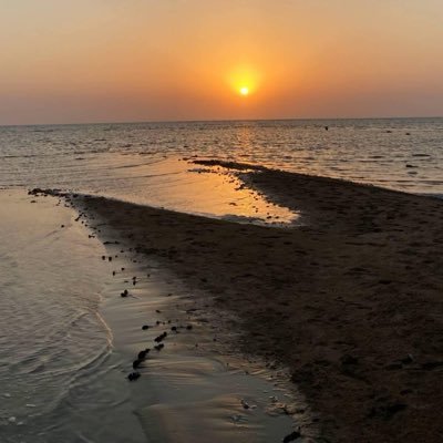 adelajohne's profile picture. 