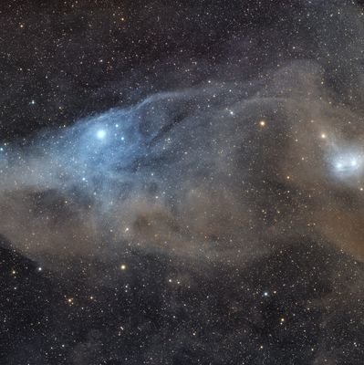 TheoAspert's profile picture. PhD in bioengineering developing µfluidics,🔬, computer vision & methods to culture and track 3D microtissues. Currently researcher @EPFL.