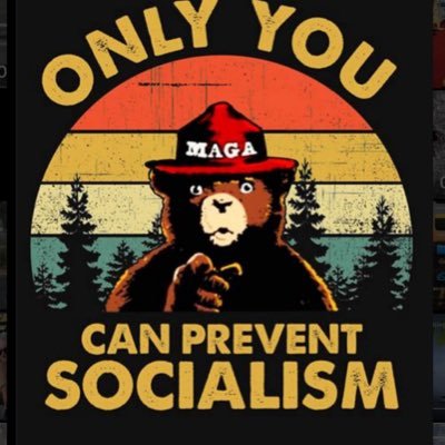 tosinovegano's profile picture. #TURNINGPOINT!              We will never allow the left to silence us! The murderous terrorist group called "The Democratic Party" has no place in our society.