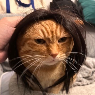 sariel147258's profile picture. 