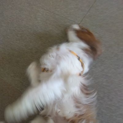 14dyKhym's profile picture. 