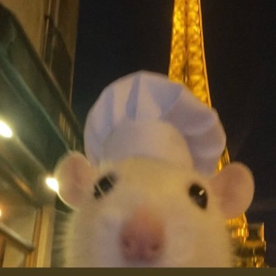 theMouserr's profile picture. chef