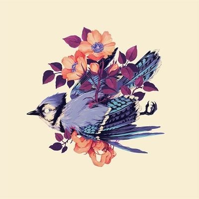 Turquoiseswan64's profile picture. descansando......