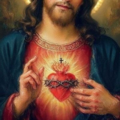 Vitten3's profile picture. Kaiser presidente 🇨🇱