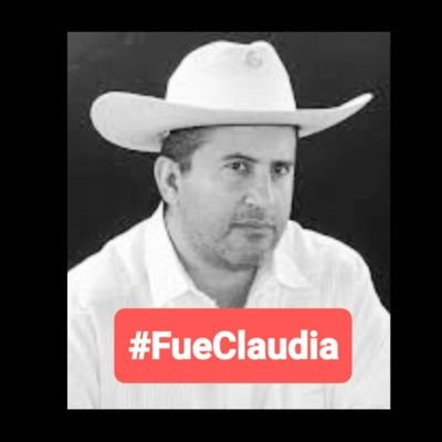 Joanneborgesg's profile picture. México 🇲🇽 secuestrado por los #MoreNarcos - Anti 4T - #FueraMorena #GobiernoFALLIDO