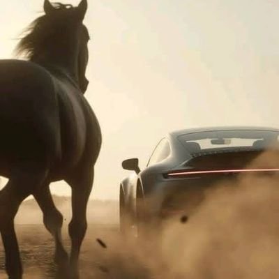 GhalebKali31830's profile picture. شغف