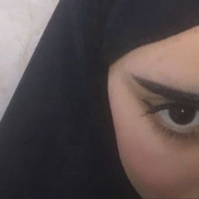 zyz47911's profile picture. تابعني وبضيفك خاص