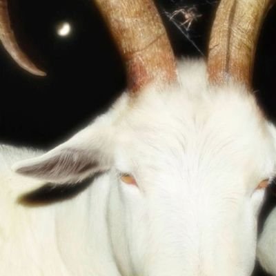 _IfeanyiChukwu1's profile picture. Tech📉📈......🐝☘️
#Binance