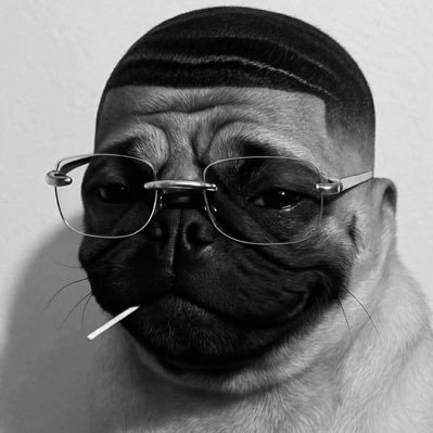 shillings_6ix's profile picture. 💯% R3search account/Life is an ironic tragedy, it has to be lived forward but only makes sense in reverse.