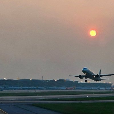 kayla20299's profile picture. 