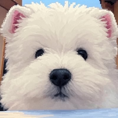 trenchchili's profile picture. 早起的鸟儿有虫吃