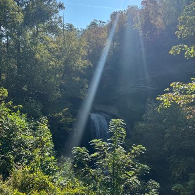 84_in_reality's profile picture. Back the Honolulu Blue #onepride