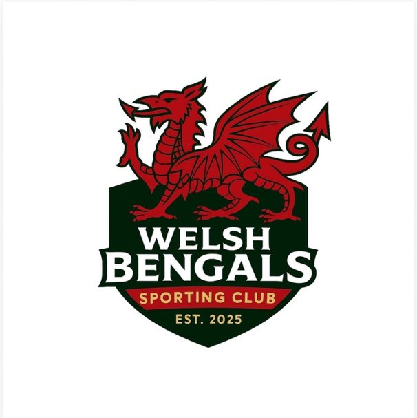 WelshBengals25's profile picture. 
