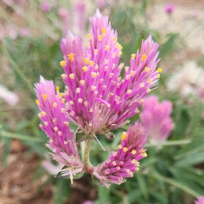 J33412279544's profile picture. life in the fast lane