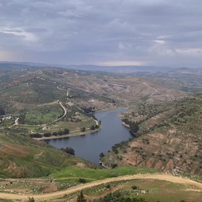 ijnbejx59717's profile picture. 