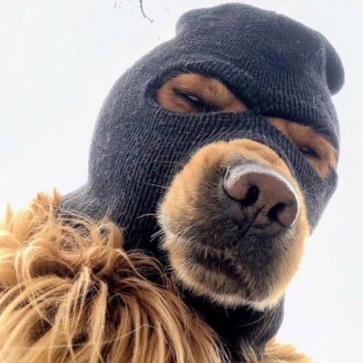 snkr_passion's profile picture. I love Stocks, sports, shoes, anime, ratchet shit, God too. That’s all, folks