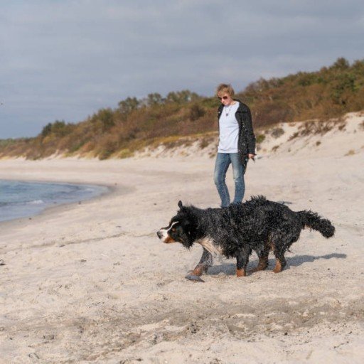 wzf85y11382's profile picture. Be the reason someone smiles today. 😊💖