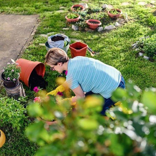 qjfkwh740's profile picture. Life is too important to be taken seriously. 😆🌟