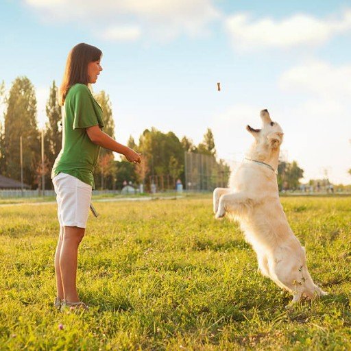 2gzcifw88488's profile picture. Shine like the whole universe is yours. ✨🌌