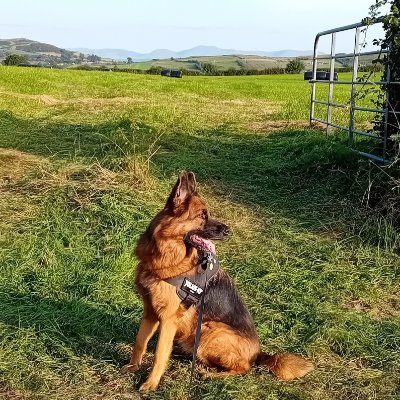 CarmelBreen27's profile picture. 