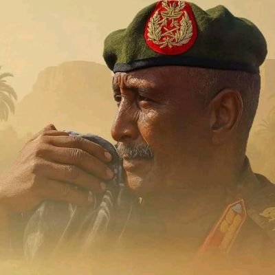 Abdalqaywm's profile picture. 🔻هذه الأرض لنا مهما أستبدوا🇸🇩✊🏻