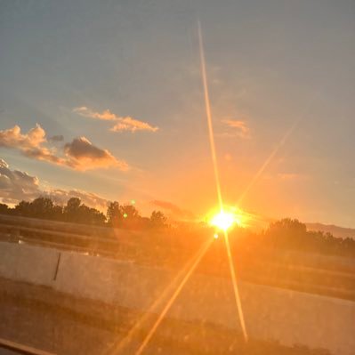 dem_rabbit's profile picture. 