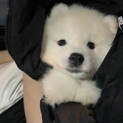 Wenallday's profile picture. 