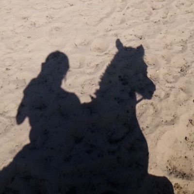 Attllarws's profile picture. XR and Game Developer #Meta 👩🏻‍💻🎮🤖👾