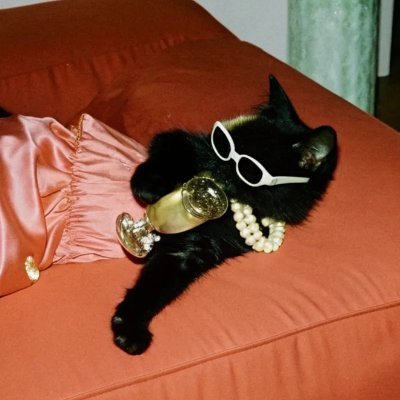 boxsake's profile picture. 