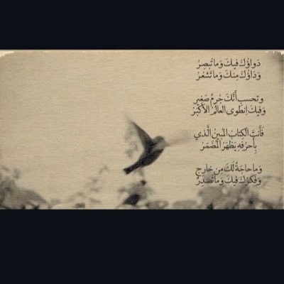 viloyar's profile picture. 