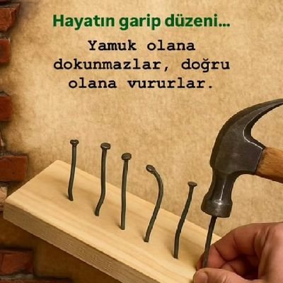 FerhatTERCAN4's profile picture. 