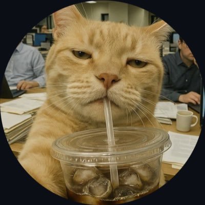 netunorano's profile picture. 