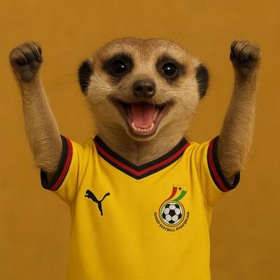 experience_2477's profile picture. 